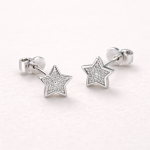 Silver 925 Cubic Zirconia Star Studded Earrings